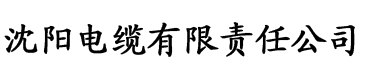 免费午夜大片电缆厂logo